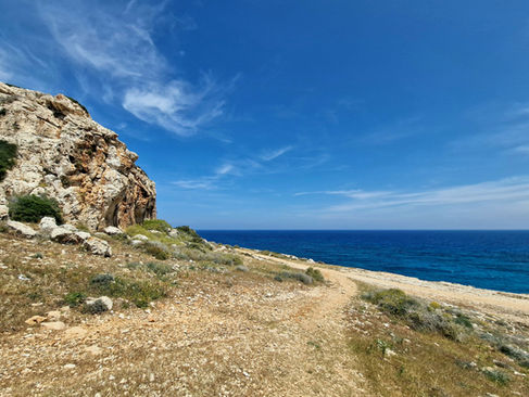 Thalassines Spilies