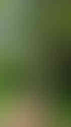 Nairobi National Park