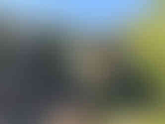 Trail Hapotami in Mandria