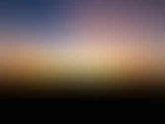 Peruvian Amazon Rainforest