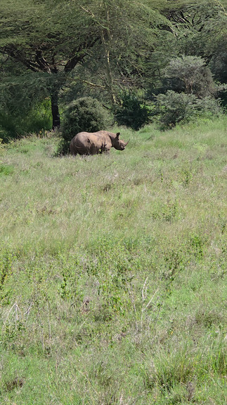 Nairobi National Park