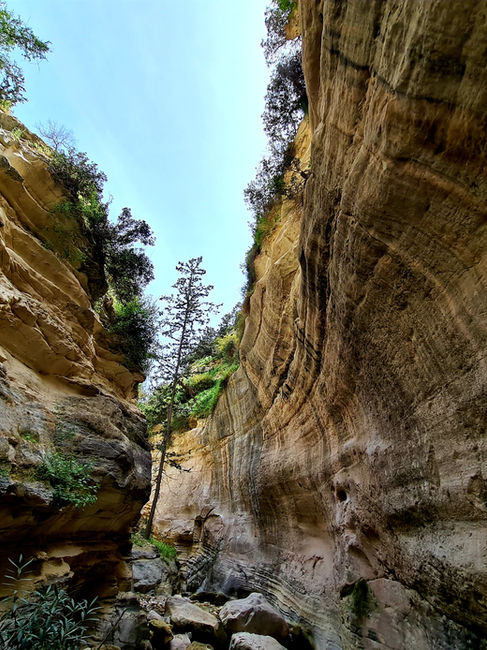 Irinis Gorge in Arodes