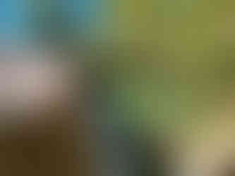 Trail Six Springs (6 Vryses) in Arsos