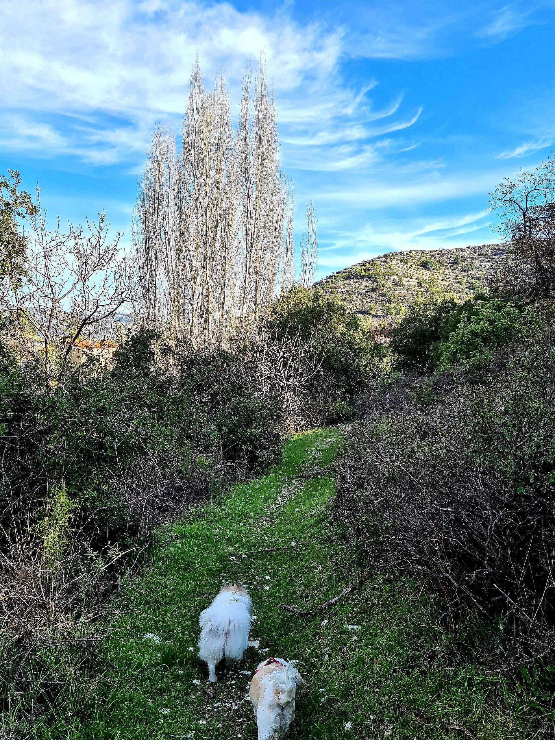 Lofou Nature Trail - Vrysi tis Elitzis (Faucet of Elitzi)