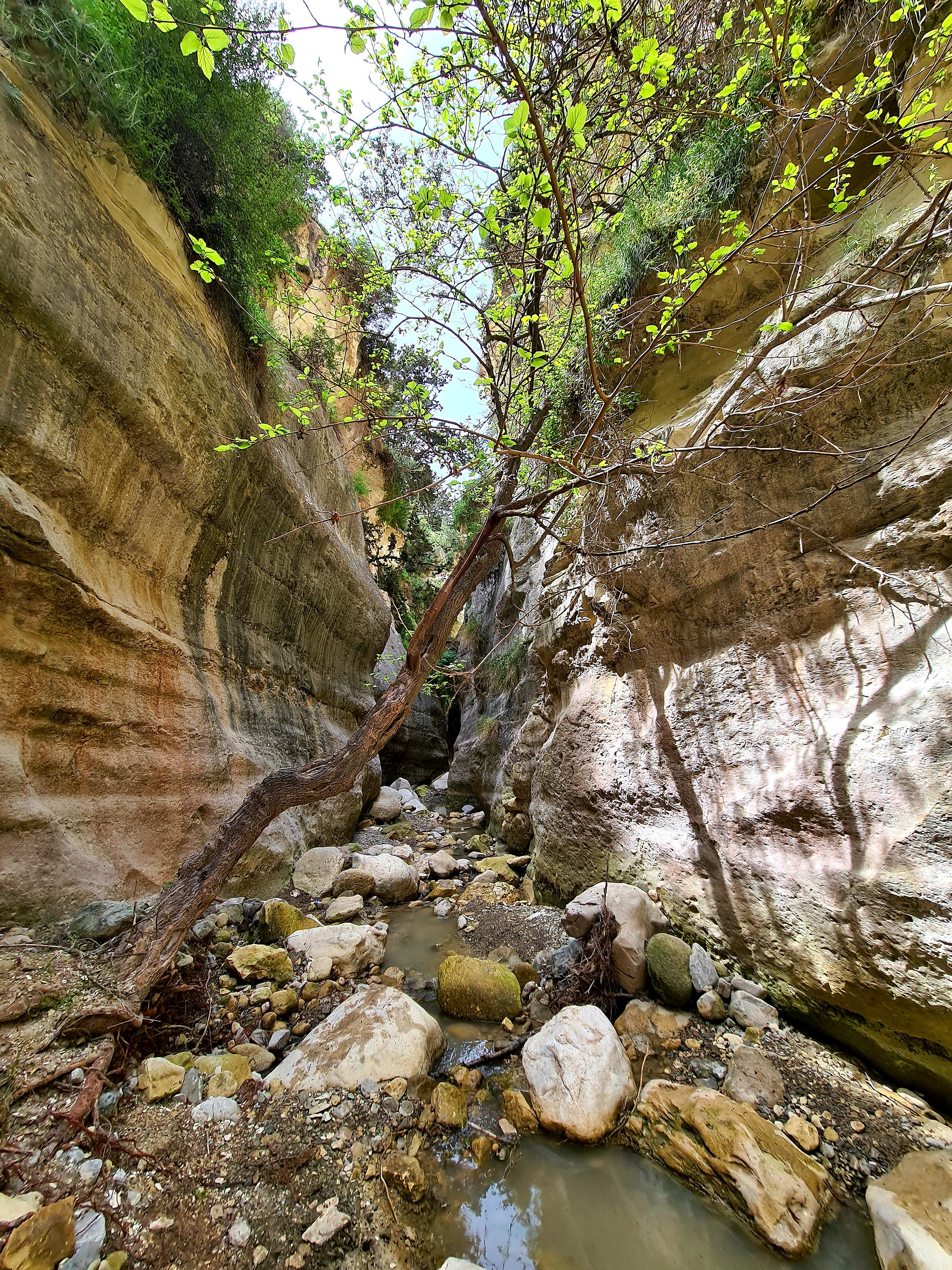 Irinis Gorge in Arodes