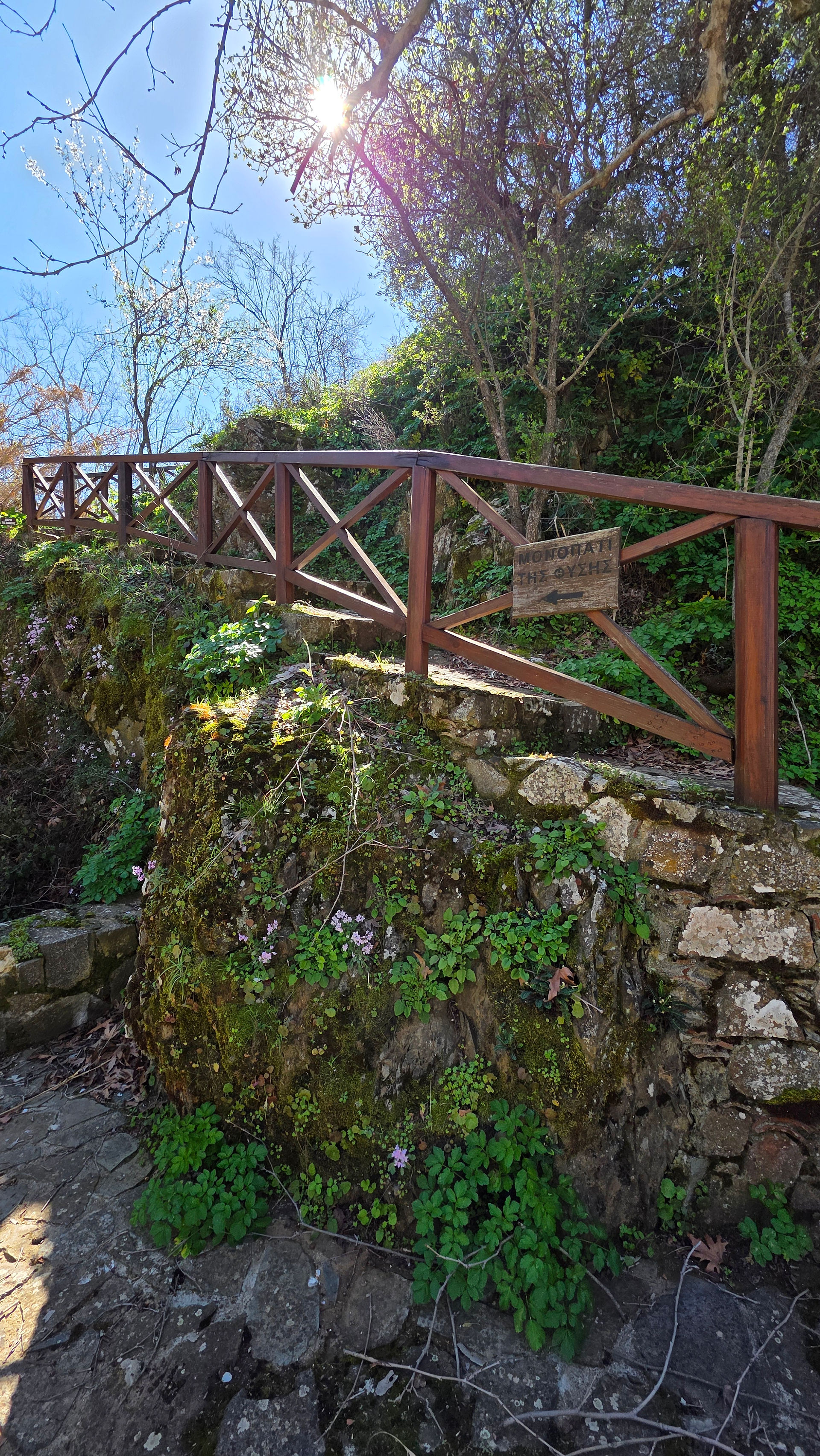 Gourri Trail Palaia Vrysi