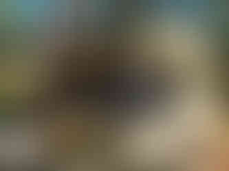 Trail Milia Medieval Bridge