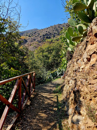 Trail Aidonia in Kampi tou Farmaka