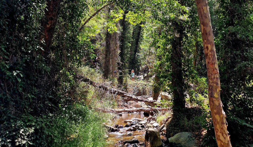 Hiking Caledonia Waterfall Trail