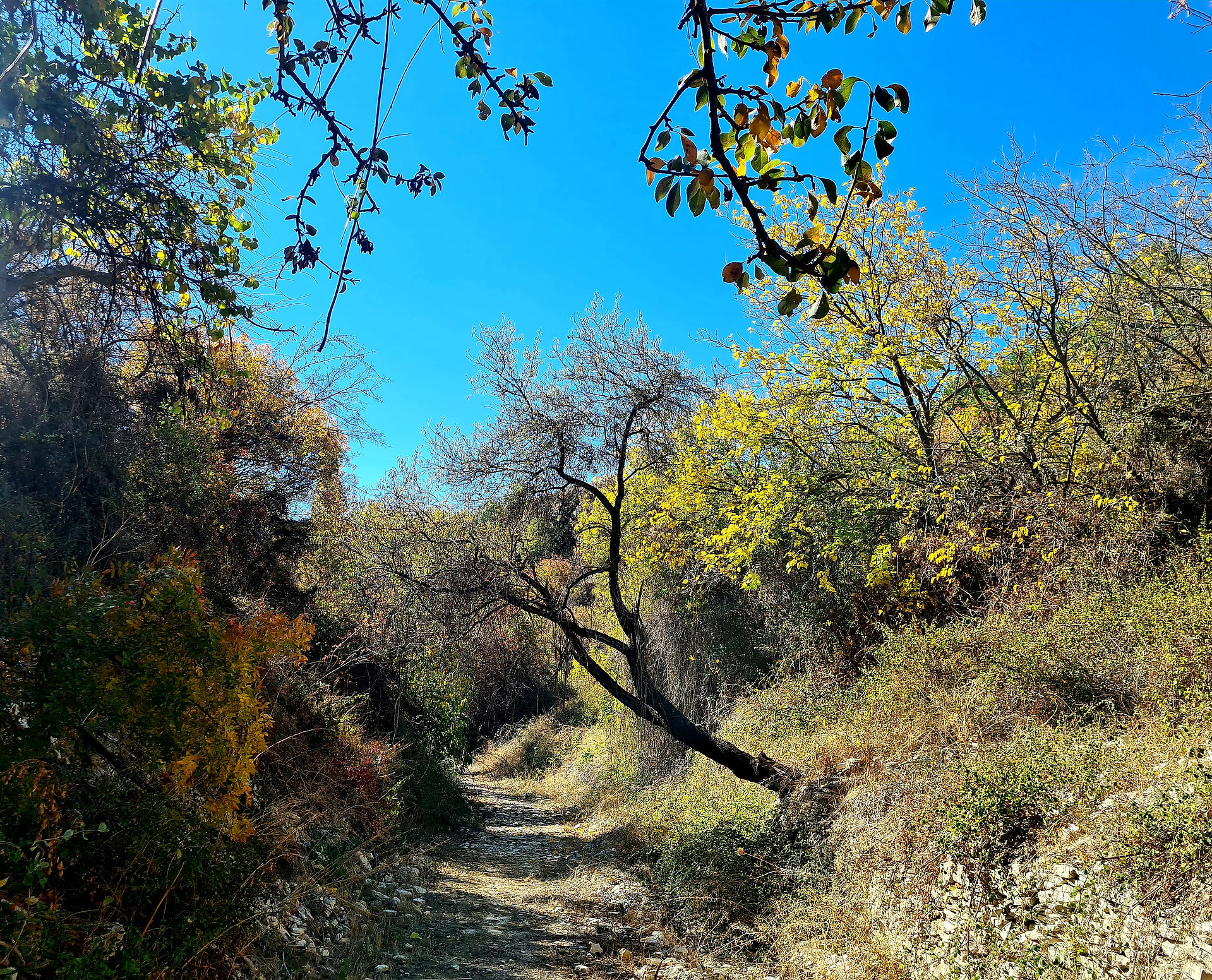 Trail Six Springs (6 Vryses) in Arsos