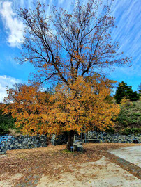 Trail Fountoukodasos in Polystypos
