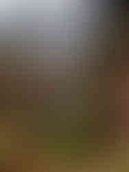 Apostle Paul trail in Agios Pavlos