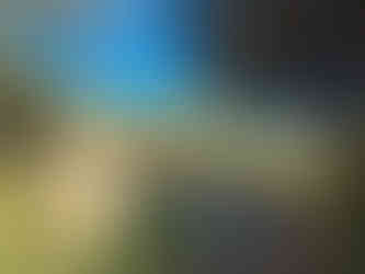 Adventure Mountain Park in Kyperounta