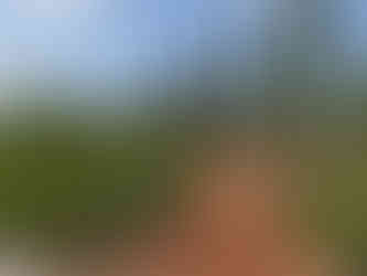 Cyherbia Botanical Garden