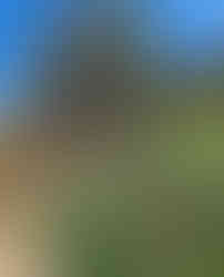 Trail Aidonia in Kampi tou Farmaka