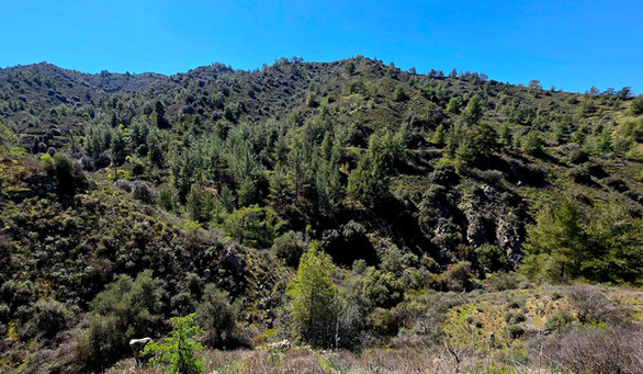 Gourri Trail Palaia Vrysi