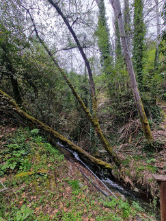 Baths of Rigena and Chlio Nature Trail
