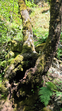 Kakarmata Waterfalls