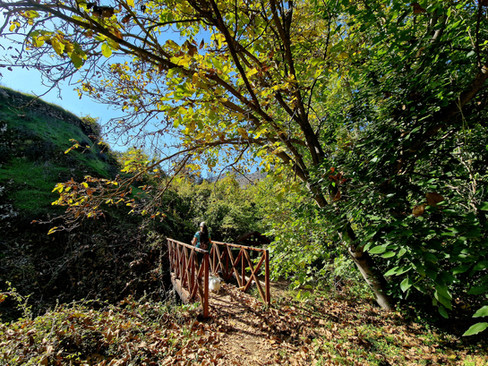 Trail Aidonia in Kampi tou Farmaka