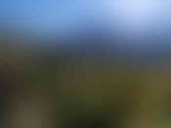 Trail Aidonia in Kampi tou Farmaka