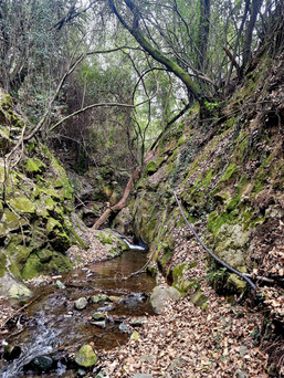 Baths of Rigena and Chlio Nature Trail
