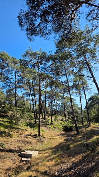 Aphrodite & Adonis Loop Trail