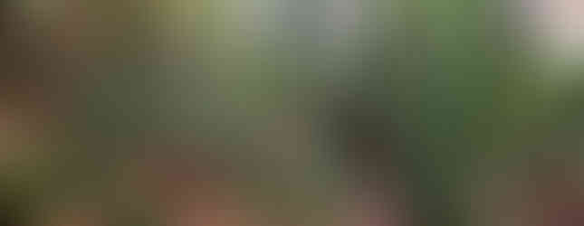 Trail Millomeris Waterfalls