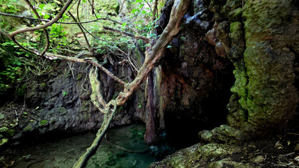 Baths of Aphrodite