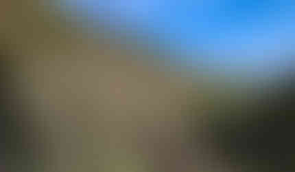 Lofou Nature Trail - Vrysi tis Elitzis (Faucet of Elitzi)