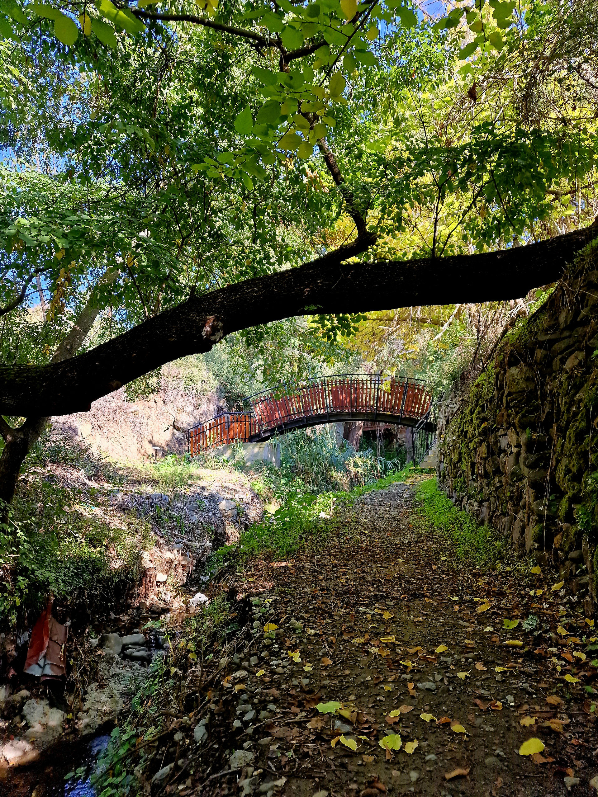 Trail Hapotami in Mandria