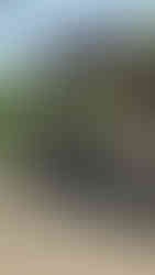 Nairobi National Park