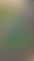 Gourri Trail Palaia Vrysi