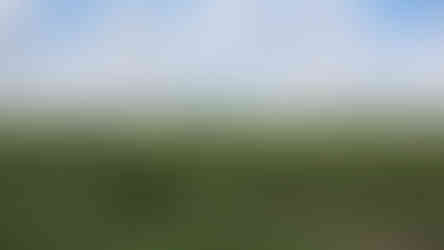 Nairobi National Park