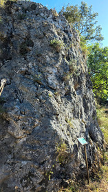 Adonis Trail