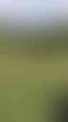 Nairobi National Park