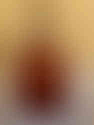 Chapel of Agia Aikaterini Fytefkia