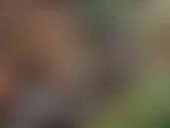 Mesa Potamos Waterfall