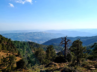 Trail Atalanti in Troodos