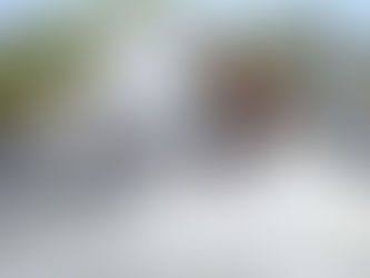 Die Schweiz geht jetzt gratis an die Interboot