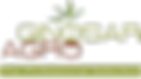logo.png