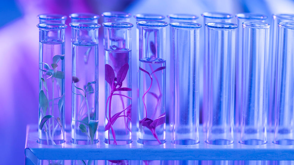 test-tubes-biotechnology-laboratory.jpg