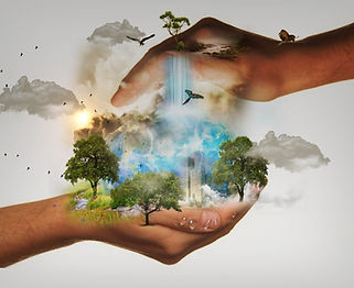 nature-conservation-480985_1920_klein.jpg