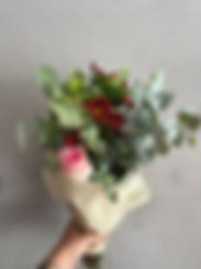 IMG_2878.jpeg