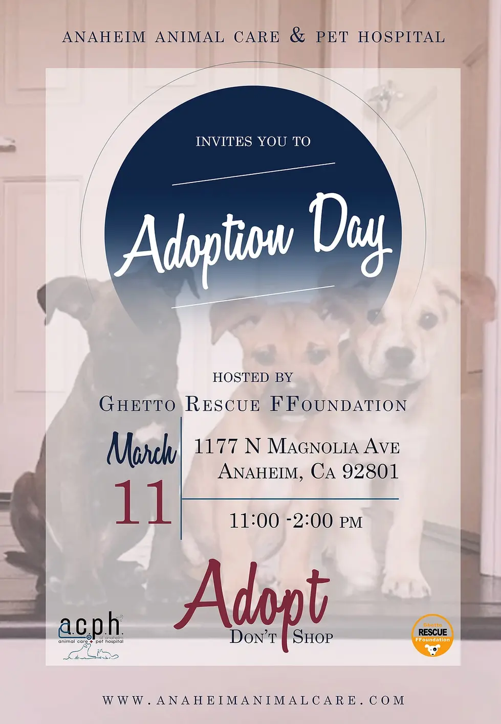 ACPH flyer.jpg