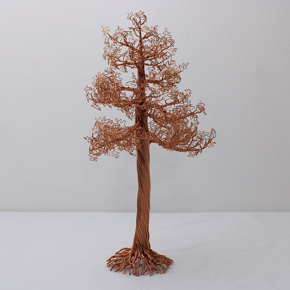 Thumbnail: Elder - old growth, coniferous tree in the BC rainforest wire sculpture by CG Swanson