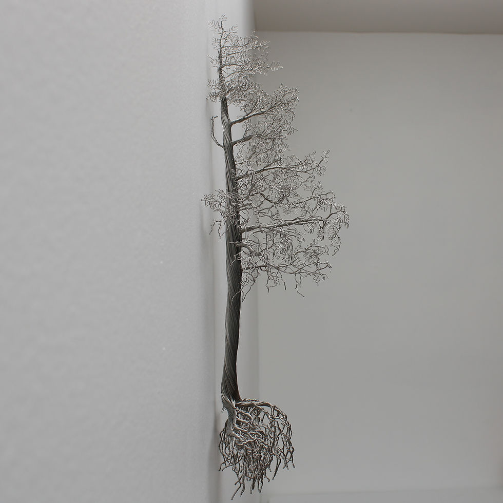 Interlude - wall mounted, stainless steel coniferous tree sculpture by Canadian artist, CG Swanson, in the Pacific Northwest
