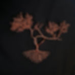 Ruckle 2 - stainless steel wire tree sculpture based on tree in Ruckle Provincial Park by CG Swanson wall hanging
