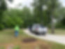 tree after.jpg
