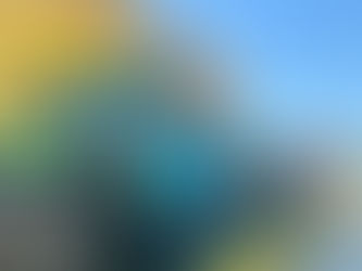 2022 Alım Sezonu Başladı.