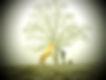 Horselover-cheval-naturopathieanimale-chien-bien-être animale- chevaux.JPG